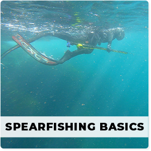 spearfishing-basisc-img